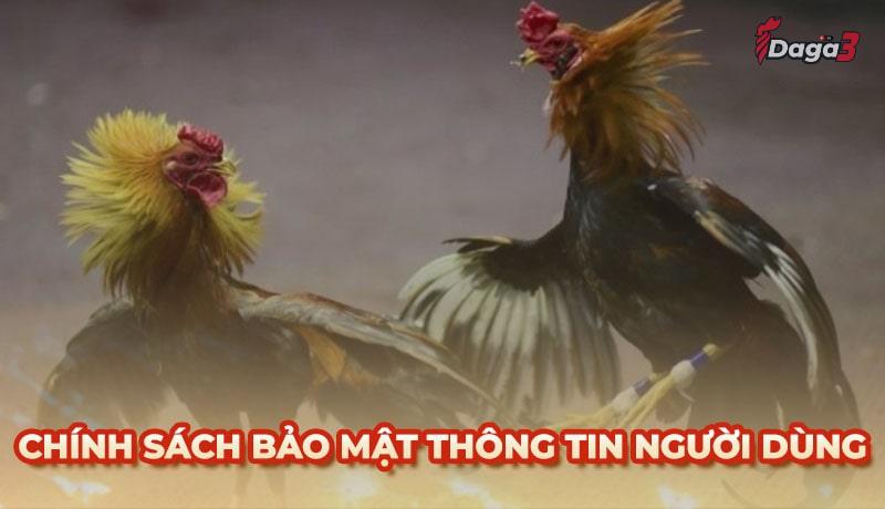 Chính sách bảo mật thông tin người dùng tại www.csvexport.co