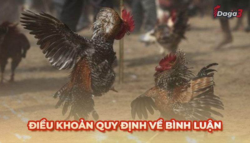 Người dùng cần tuân thủ một số điều khoản khi bình luận trên www.csvexport.co
