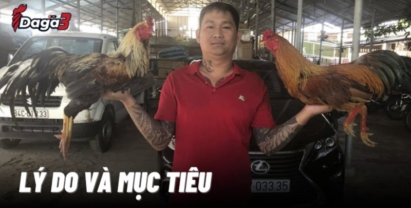 Mít Trà Cú sáng lập trang đá gà trực tiếp www.csvexport.co